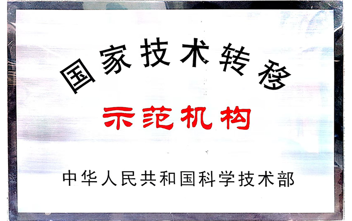 國(guó)家技術(shù)轉(zhuǎn)移示范機(jī)構(gòu).png